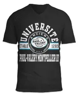 Unisex Jersey SS V-Neck T-Shirt Unisex Jersey SS V-Neck T-Shirt