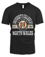 Men's V-Neck T-Shirt Men's V-Neck T-Shirt