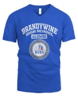 Men's V-Neck T-Shirt Men's V-Neck T-Shirt