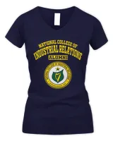 Women's V-Neck T-Shirt Women's V-Neck T-Shirt