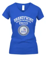 Women's V-Neck T-Shirt Women's V-Neck T-Shirt