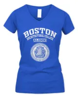 Women's V-Neck T-Shirt Women's V-Neck T-Shirt